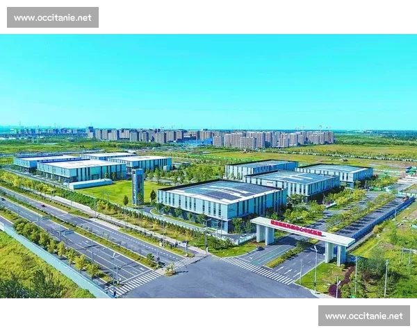 构建学习型组织驱动企业持续创新与高质量发展新路径探索